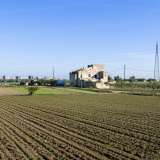 Tra i campi arati si erge in lontananza Torre di Mizzo 